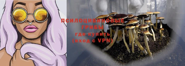 соль ск Арсеньев