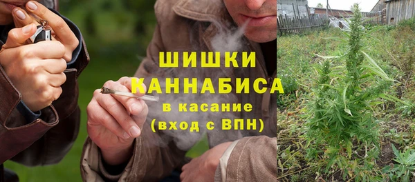 дмт Снежногорск