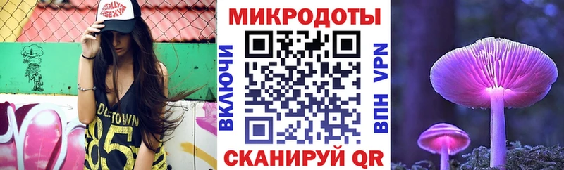 где найти   Заозёрск  Псилоцибиновые грибы прущие грибы 