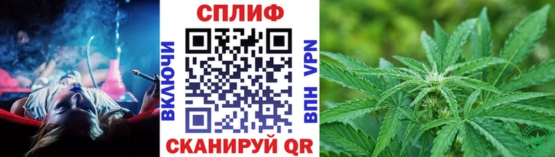 Бошки Шишки индика  Заозёрск 